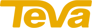 tevashoesdepot.com
